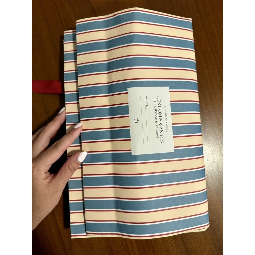 Sézane French Striped Gift Bags Holiday Wrap with Red Ribbon 16